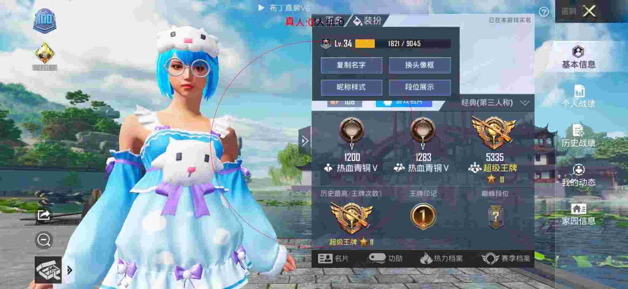 和平精英布丁直装透视 - 播放和平精英透视图片辅助预览图
